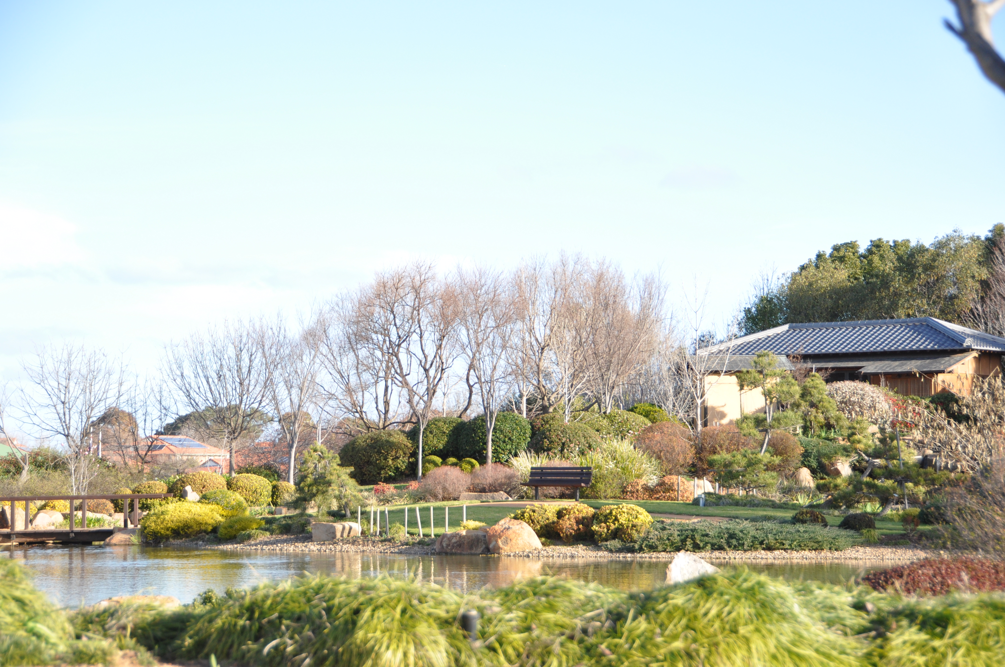 日本庭園逍遥園の風景の画像
