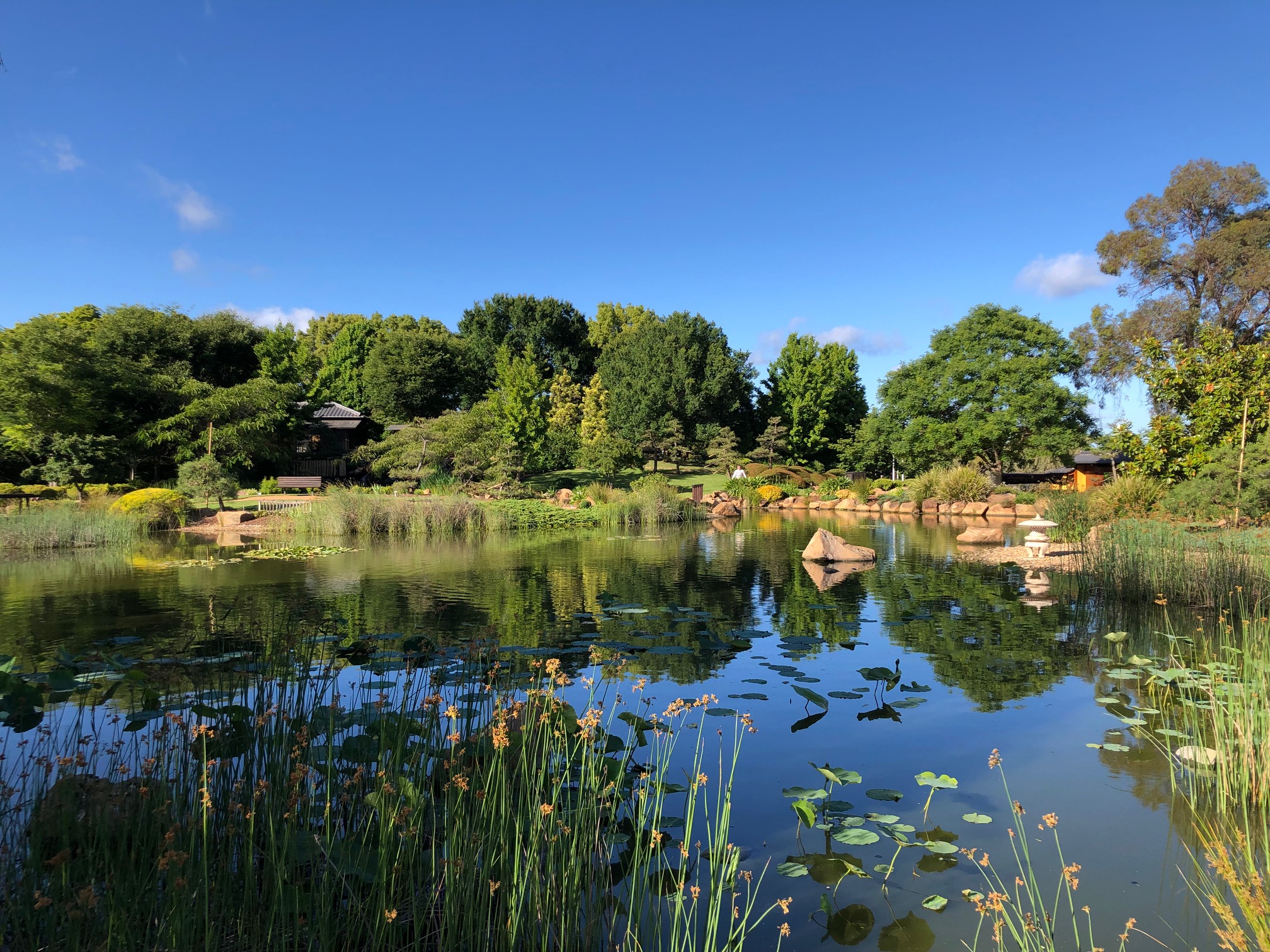 逍遥園の風景