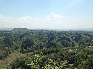 企業の森とその周辺の里山の画像