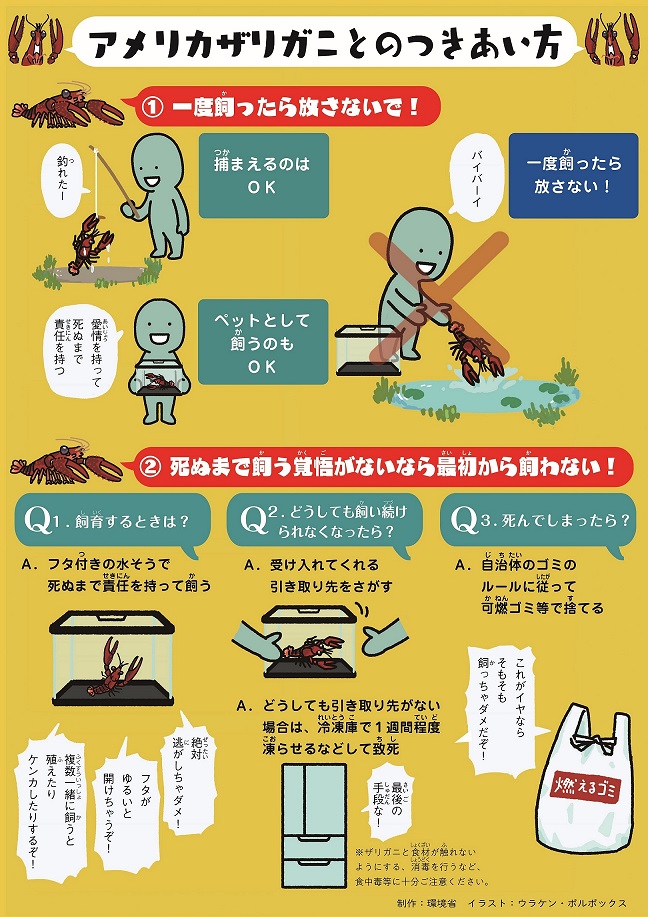 アメリカザリガニとのつきあい方のチラシの画像