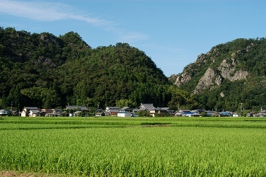 制度の概要の画像