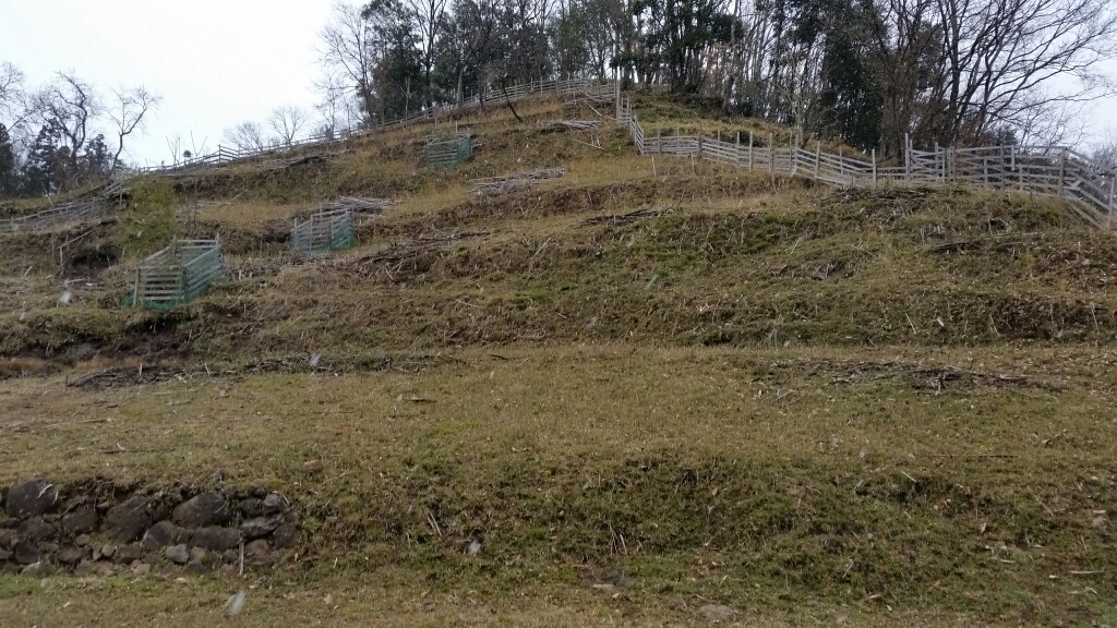 作業完了状況の画像1