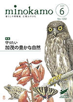 平成31年度（令和元年度）広報みのかも6月号の画像