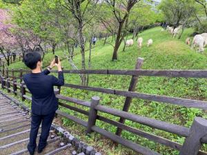やぎさん除草隊視察