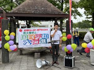 国民平和大行進