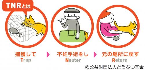 TNRイラスト